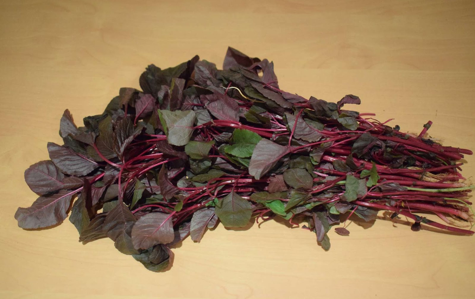 amaranthus leaves